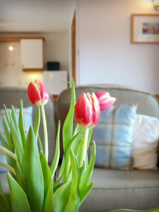 Carden Holiday Cottages - Elgin Crook of Alves Dış mekan fotoğraf